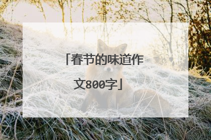 春节的味道作文800字