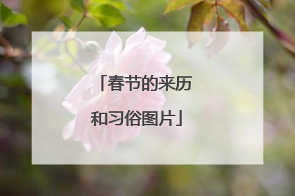 春节的来历和习俗图片