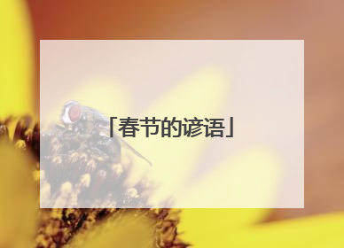 春节的谚语