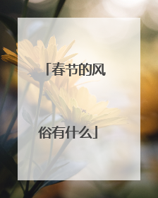 春节的风俗有什么