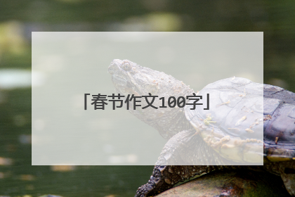 春节作文100字