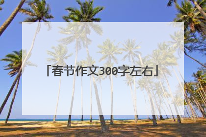 春节作文300字左右