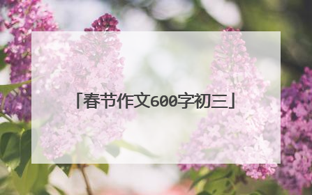 春节作文600字初三