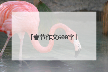 春节作文600字