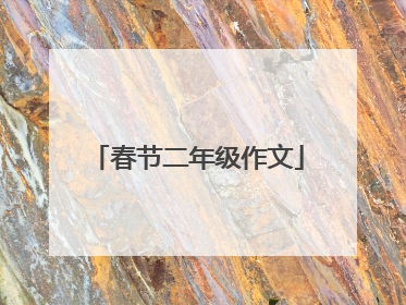 春节二年级作文
