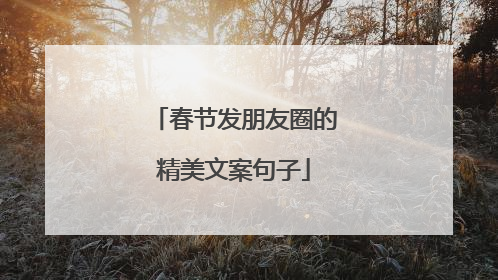 春节发朋友圈的精美文案句子