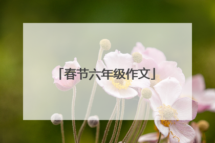 春节六年级作文