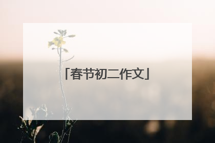 春节初二作文
