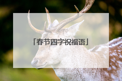 春节四字祝福语