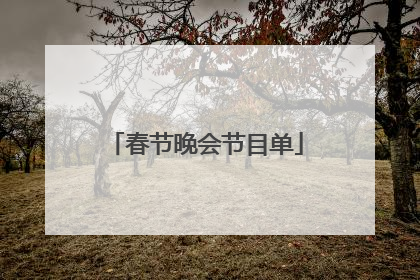 春节晚会节目单