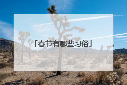 春节有哪些习俗