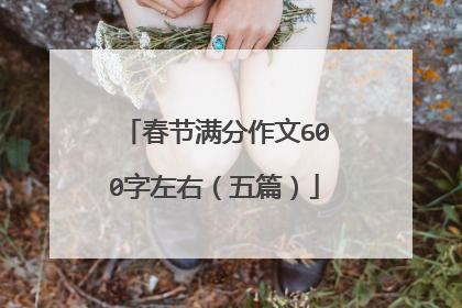 春节满分作文600字左右（五篇）