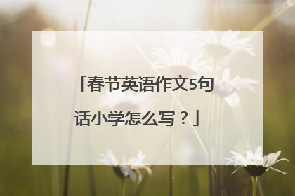 春节英语作文5句话小学怎么写?