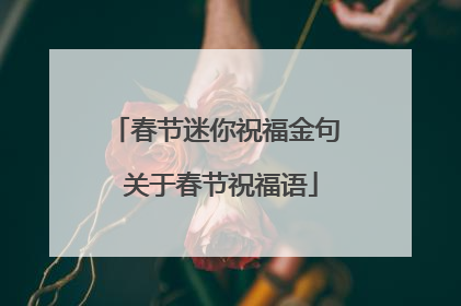 春节迷你祝福金句 关于春节祝福语