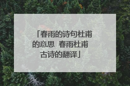春雨的诗句杜甫的意思 春雨杜甫古诗的翻译