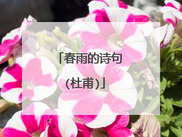 春雨的诗句(杜甫)