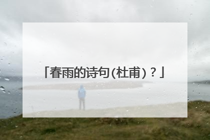 春雨的诗句(杜甫)？