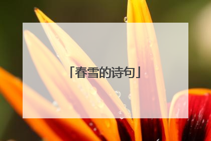 春雪的诗句