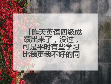 昨天英语四级成绩出来了，没过，可是平时有些学习比我更我不好的同学却过了，心里落差很大，