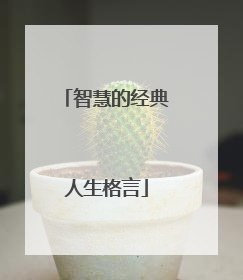 智慧的经典人生格言