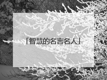 智慧的名言名人