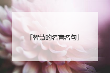智慧的名言名句