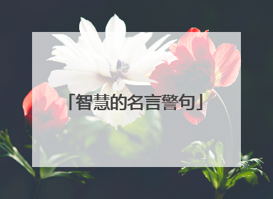 智慧的名言警句