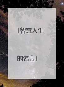 智慧人生的名言