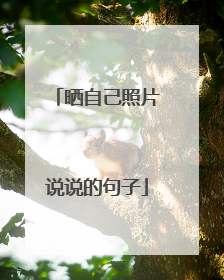 晒自己照片说说的句子