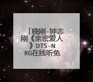 晓刚-钟志刚《亲密爱人》DTS-NRG在线听免费，求百度网盘下载资源