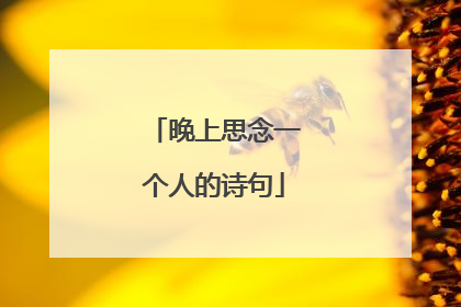 晚上思念一个人的诗句