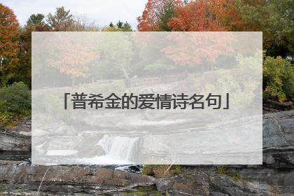 普希金的爱情诗名句