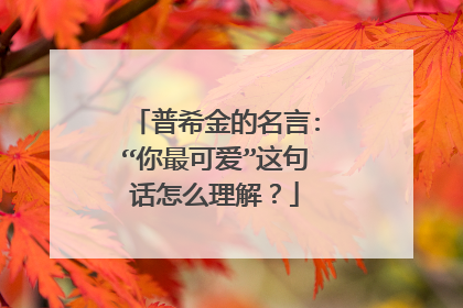 普希金的名言:“你最可爱”这句话怎么理解?