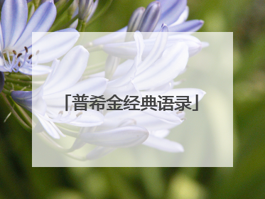 普希金经典语录