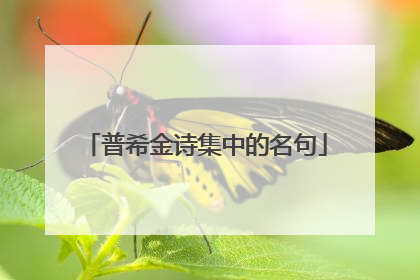 普希金诗集中的名句