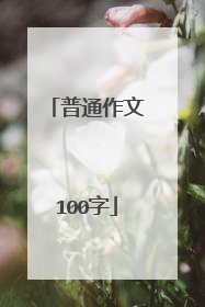 普通作文100字