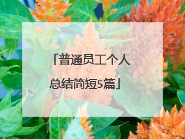 普通员工个人总结简短5篇