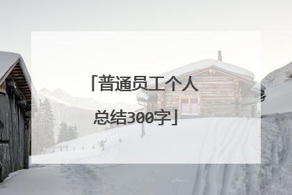 普通员工个人总结300字