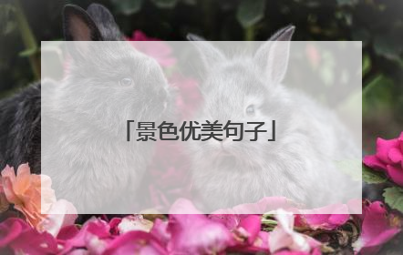 景色优美句子