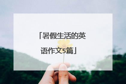 暑假生活的英语作文5篇