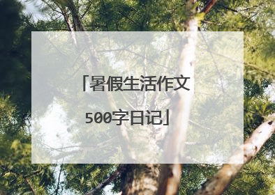 暑假生活作文500字日记