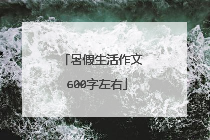 暑假生活作文600字左右