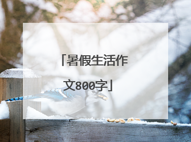 暑假生活作文800字