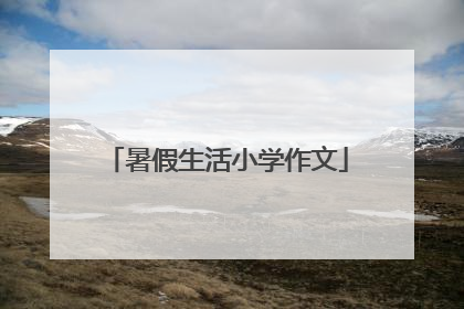 暑假生活小学作文