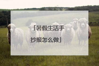 暑假生活手抄报怎么做
