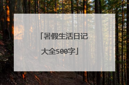暑假生活日记大全500字