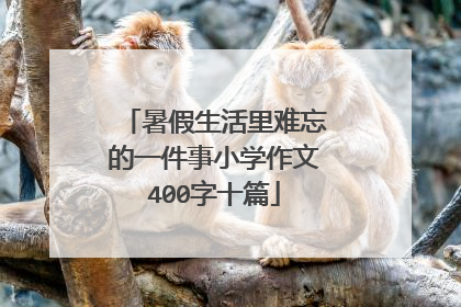 暑假生活里难忘的一件事小学作文400字十篇