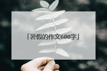 暑假的作文600字