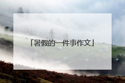 暑假的一件事作文