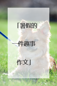 暑假的一件趣事作文